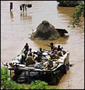Flood Victims Photo